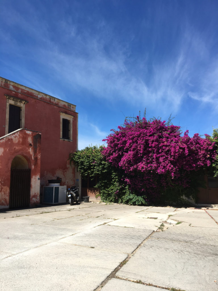 Caseificio Vannulo Battipaglia - cosa fare in Cilento