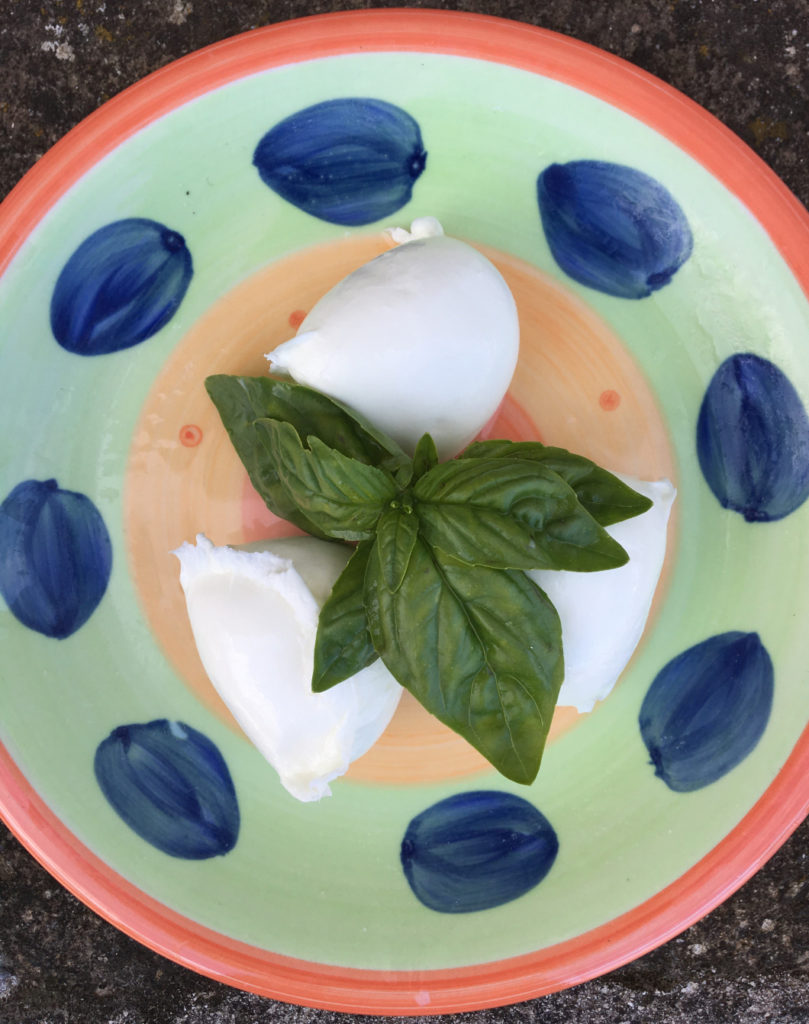 Buffalo mozzarella
