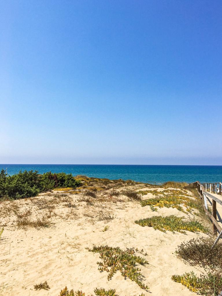 mare Cosa vedere al Parco Nazionale del Circeo