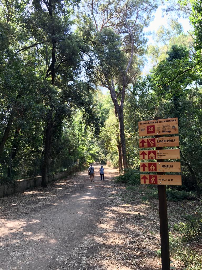 Sentieri nella foresta - Cosa vedere al Parco Nazionale del Circeo