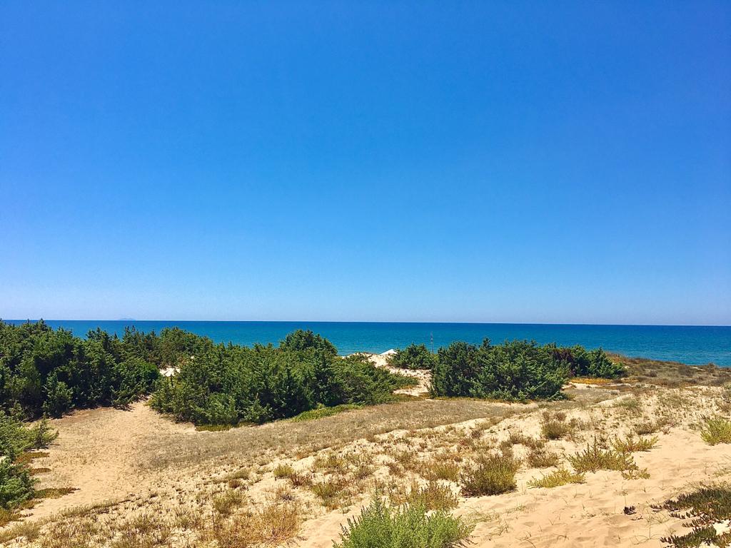 Circeo beach Sabaudia