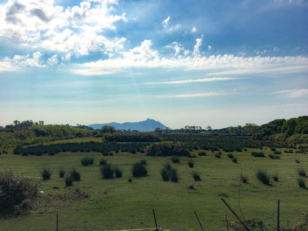 area pianeggiante verde con monte Circeo sullo sfondo