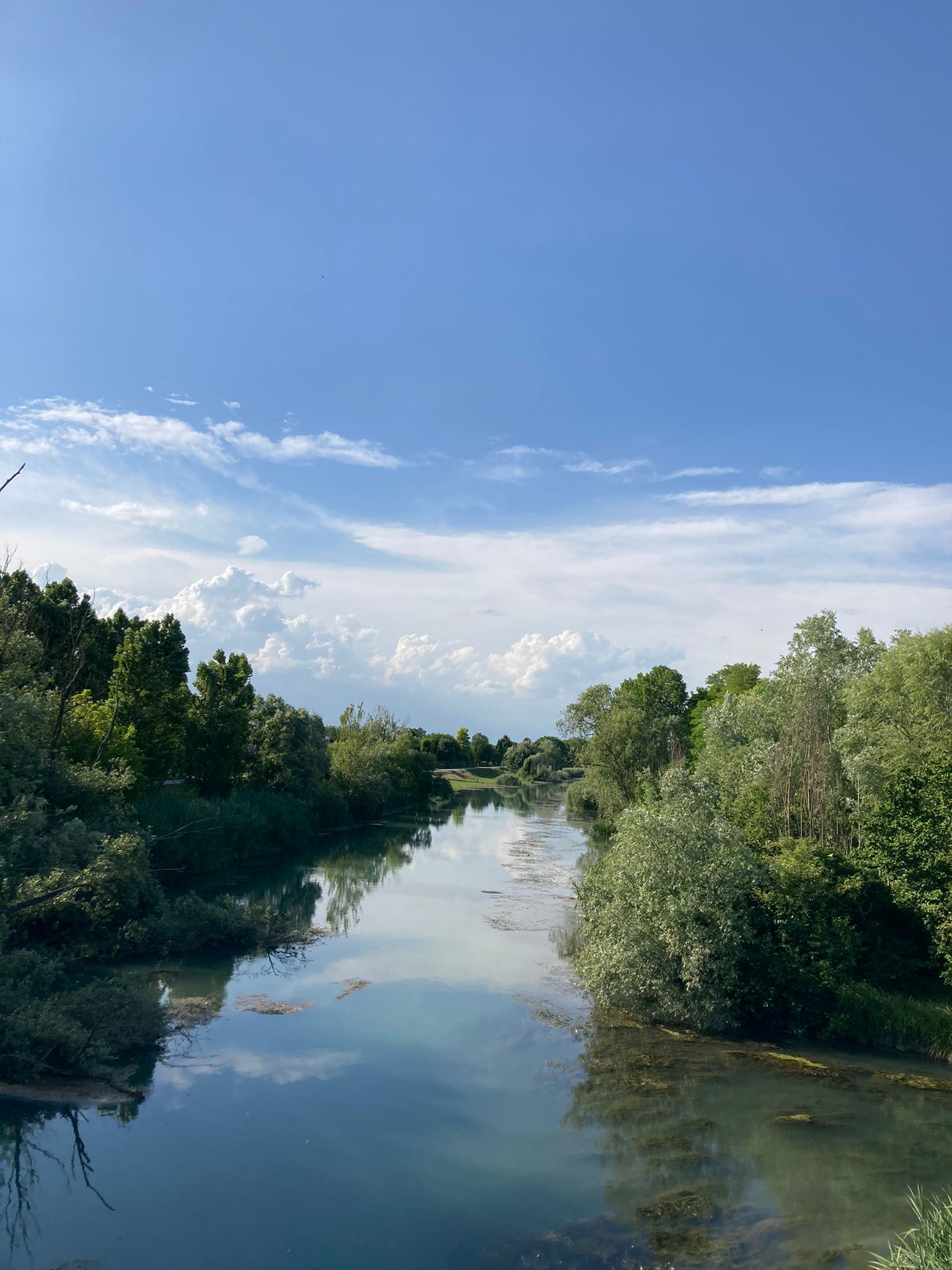 panorama del fiume Piave circondato da vegetazione rigogliosa e cielo azzurro