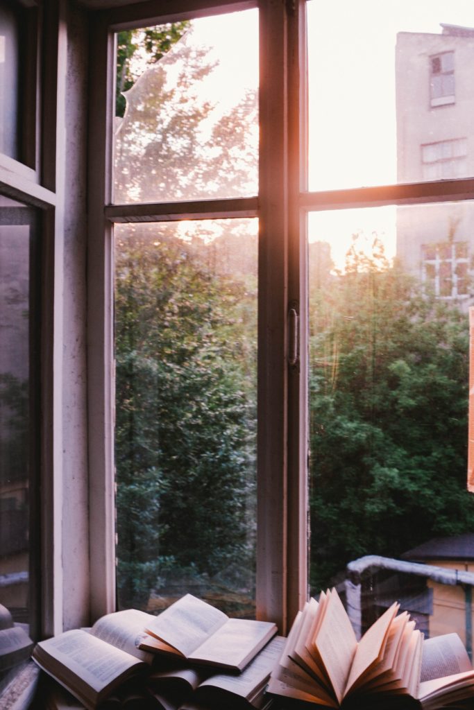 vista dalla finestra con libri sul davanzale e vista su alberi e un palazzo all'alba
