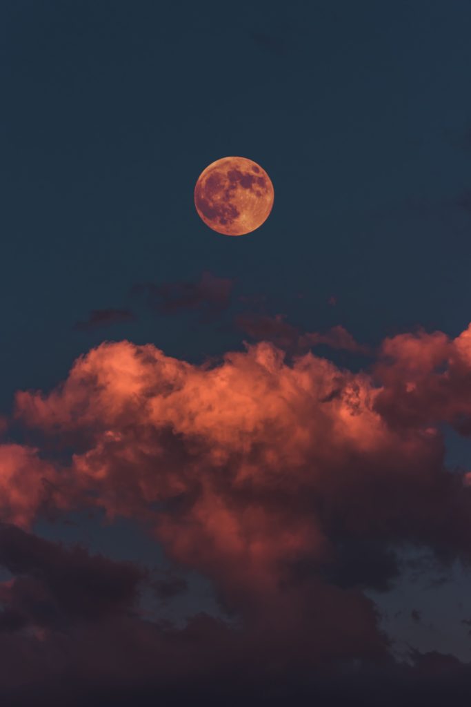 luna piena dal corole rosato nuove rosate